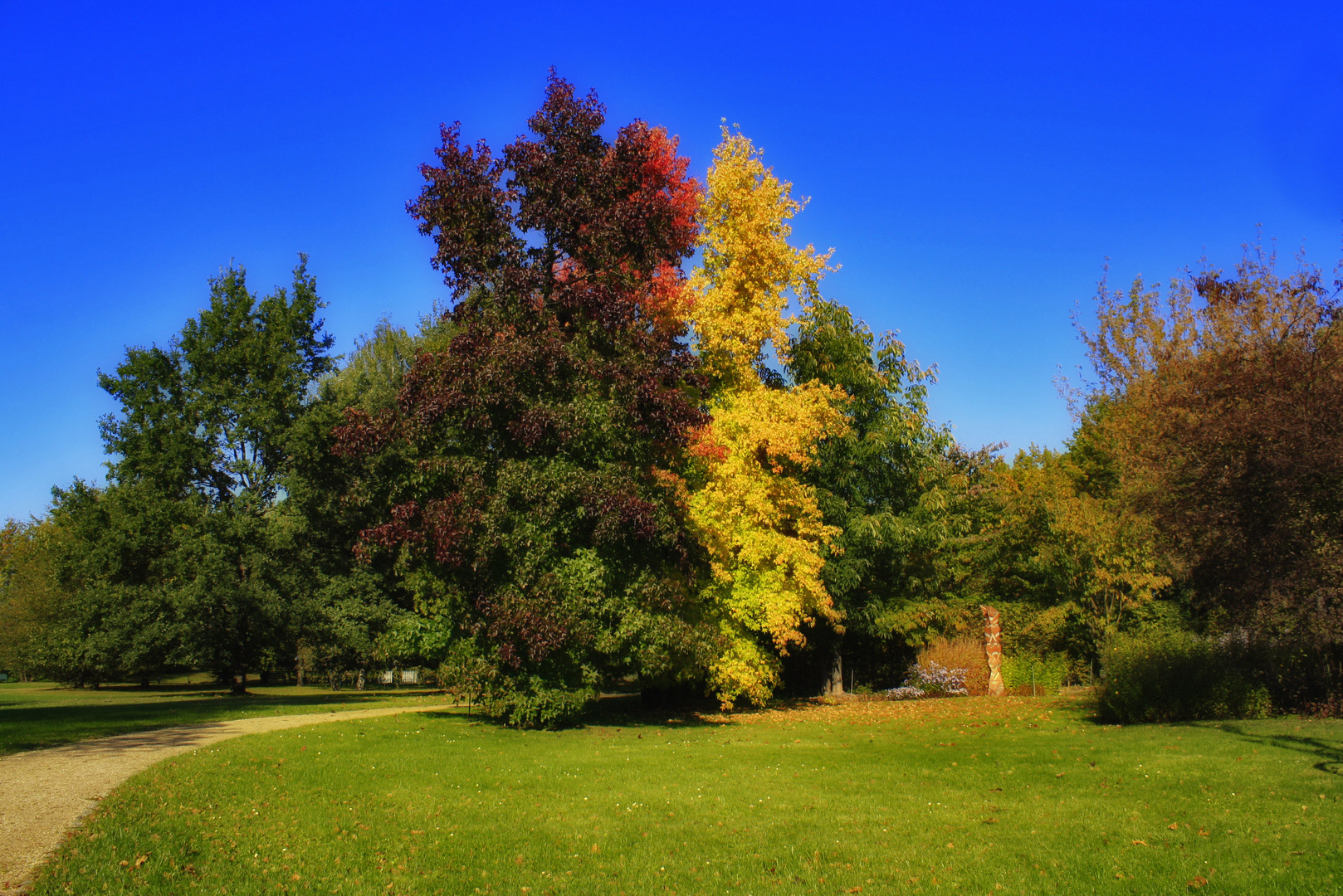 bunter herbst