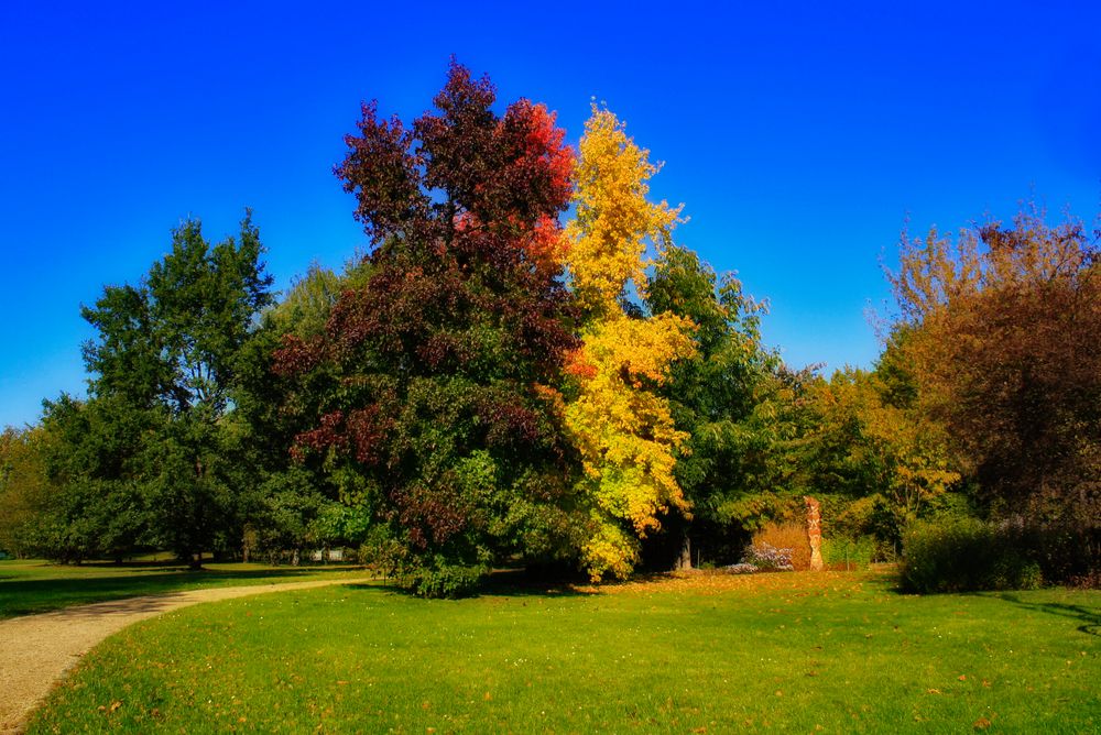 bunter herbst