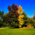 bunter herbst