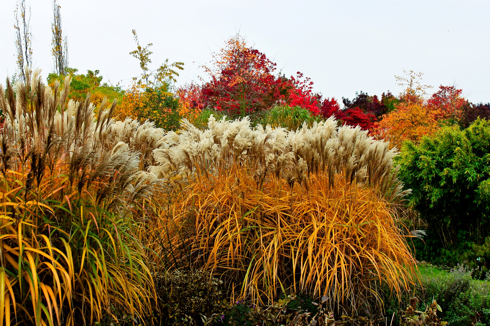 Bunter Herbst.....