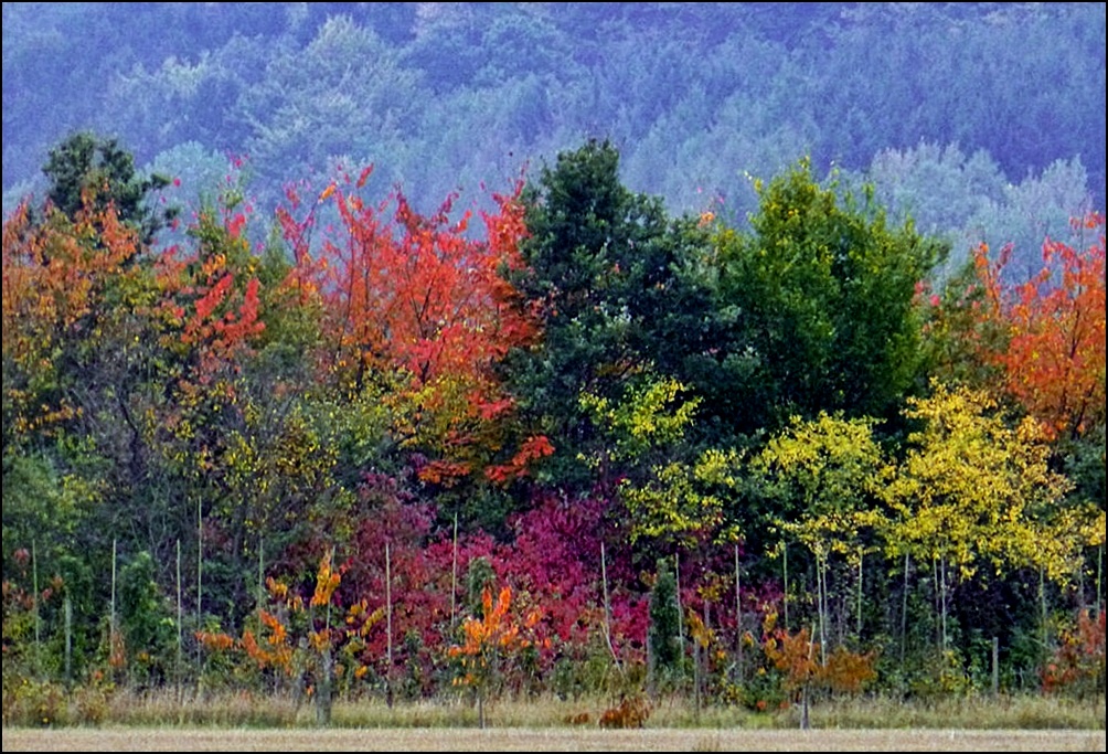 Bunter Herbst...