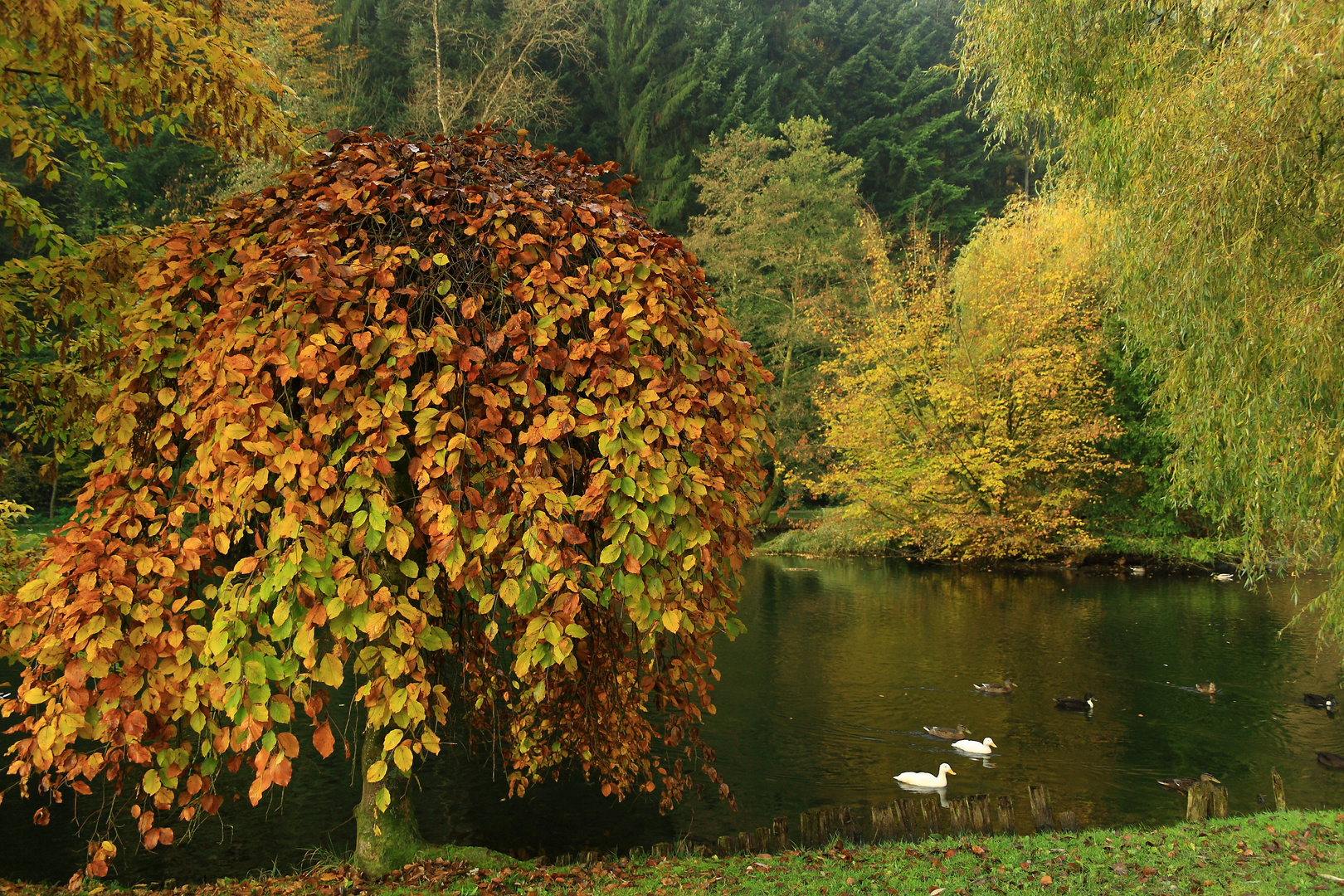 Bunter Herbst