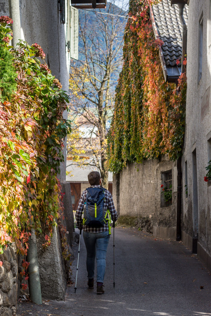 bunter Herbst