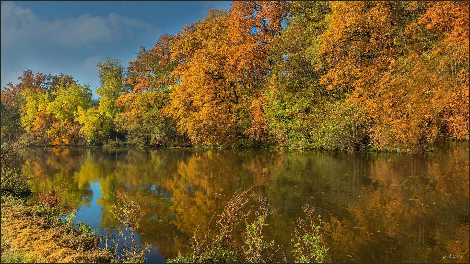 Bunter Herbst