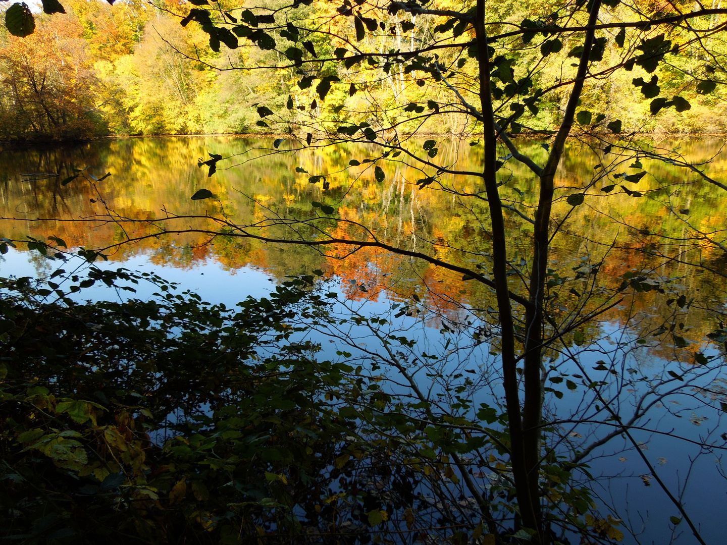 Bunter Herbst