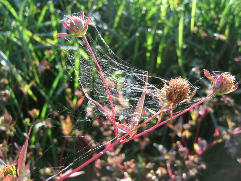 bunter Herbst