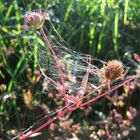 bunter Herbst