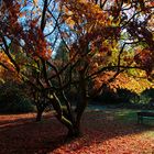 Bunter Herbst