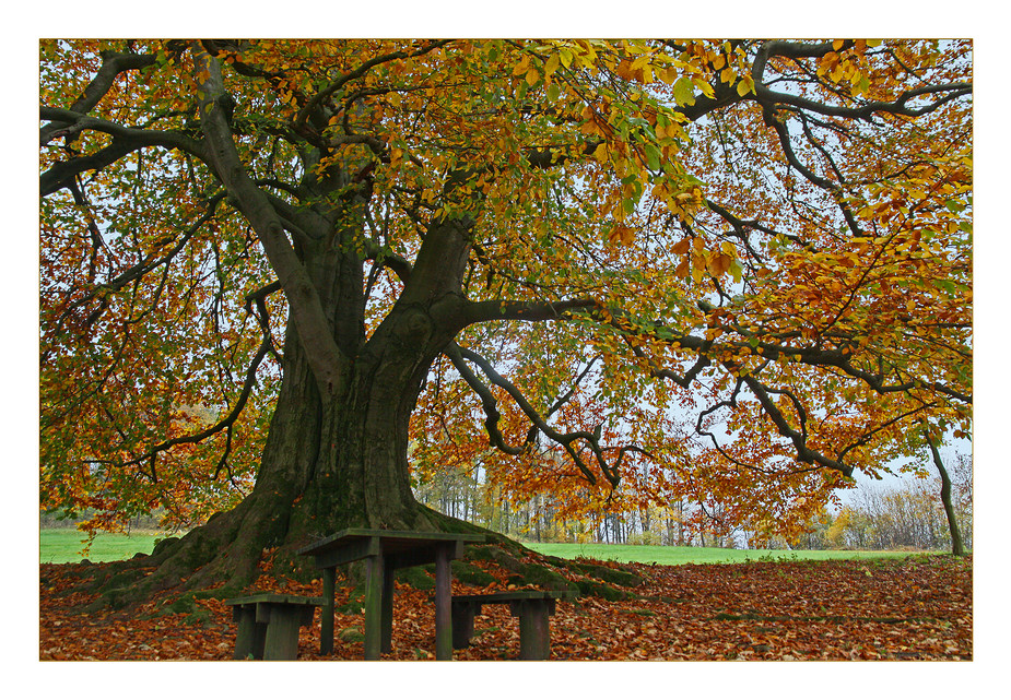 Bunter Herbst