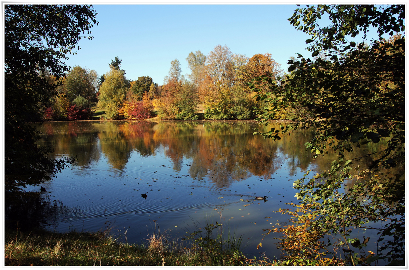 bunter Herbst