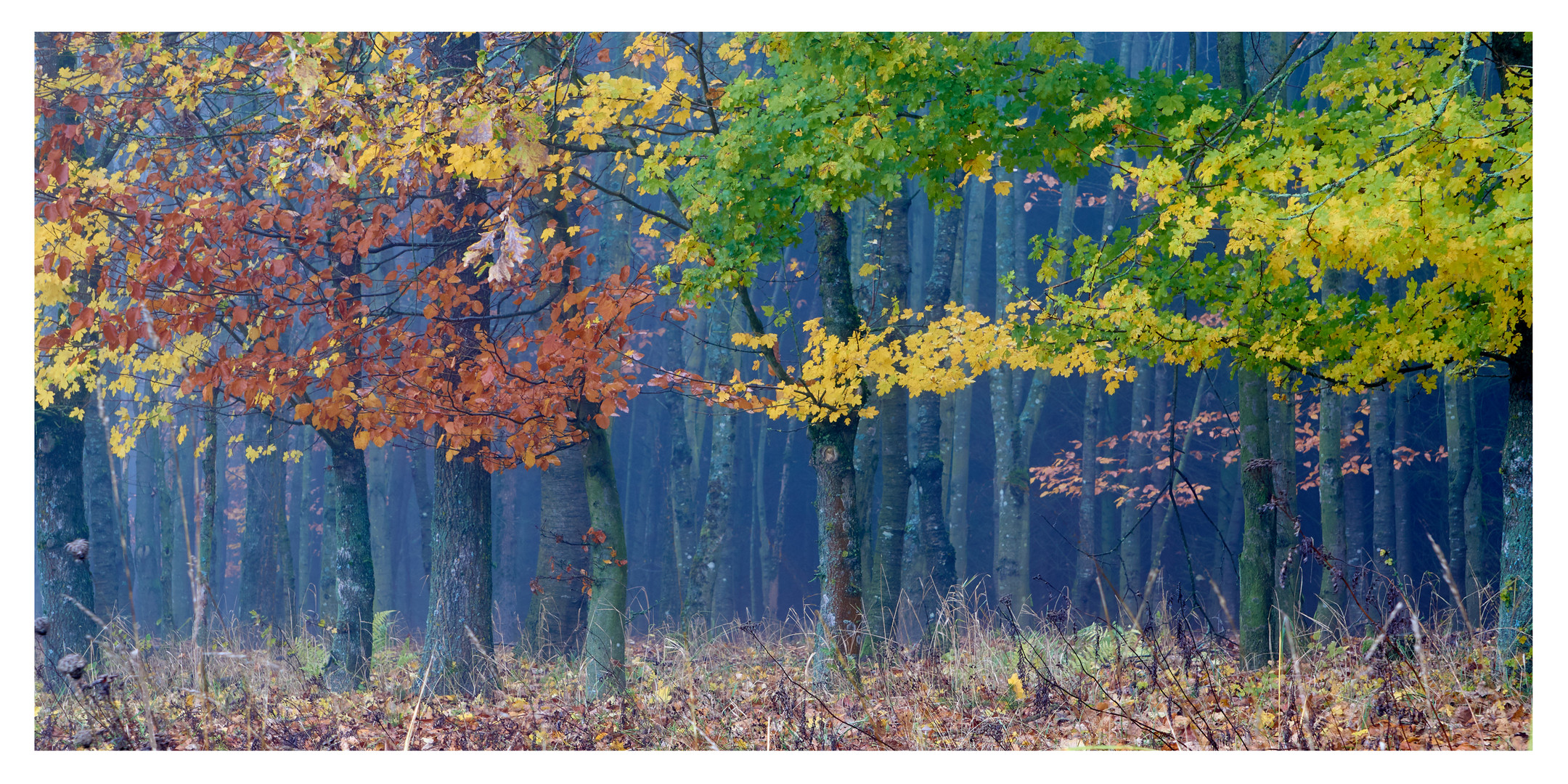 Bunter Herbst