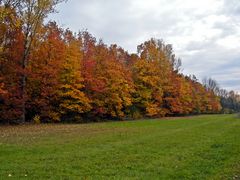 Bunter Herbst