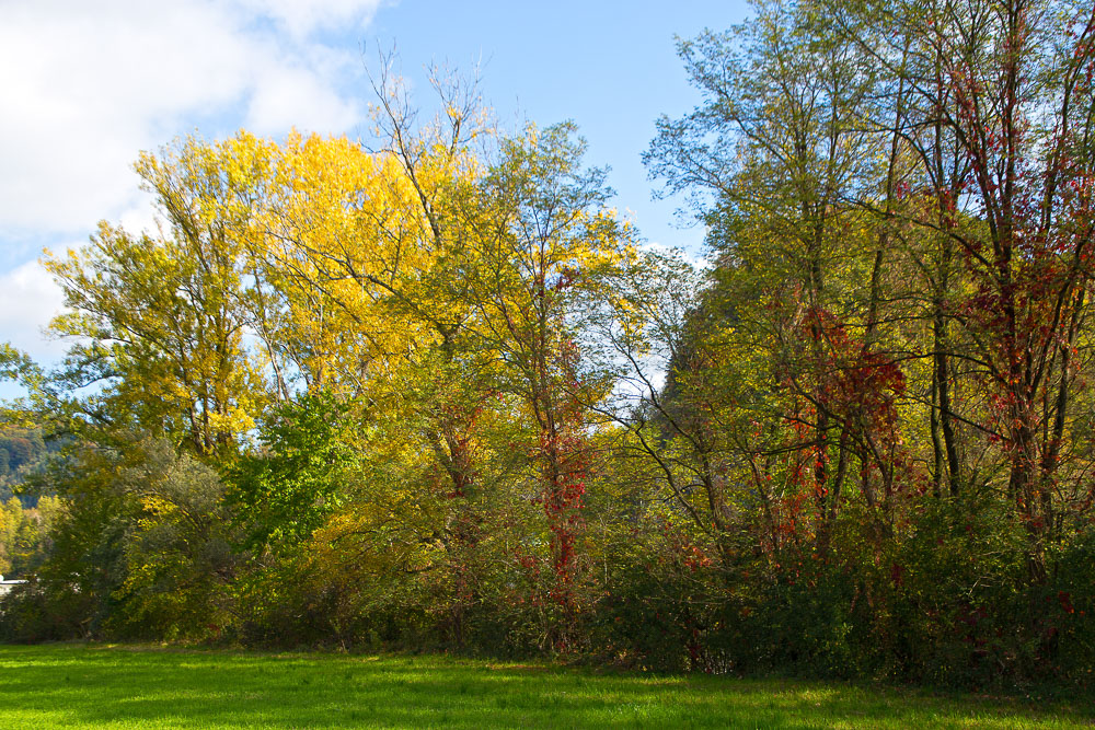 Bunter Herbst