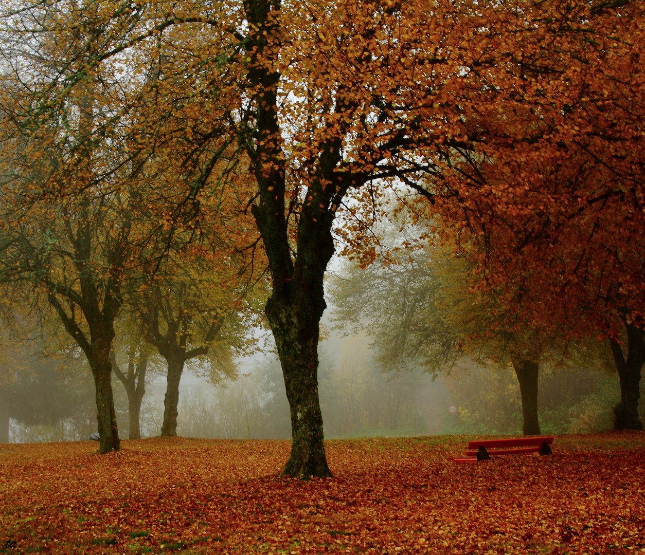 Bunter Herbst