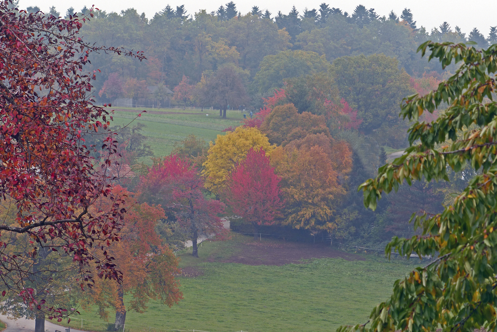 Bunter Herbst