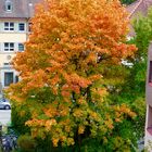 bunter Herbst