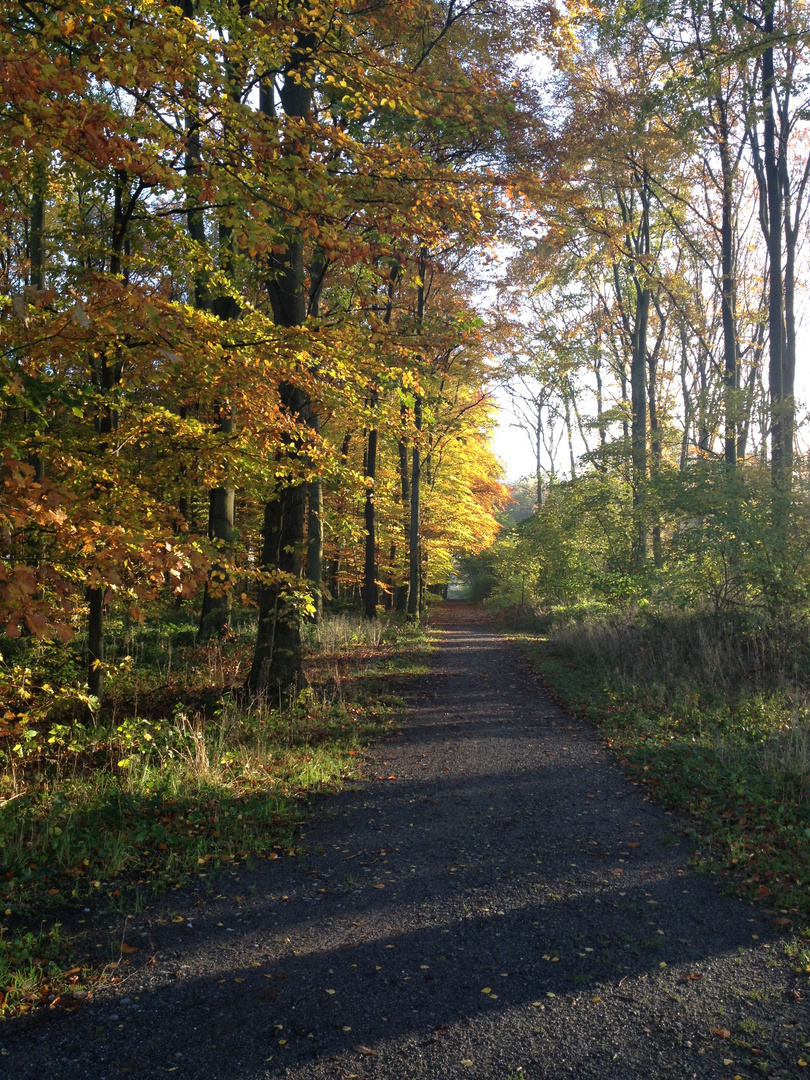 Bunter Herbst