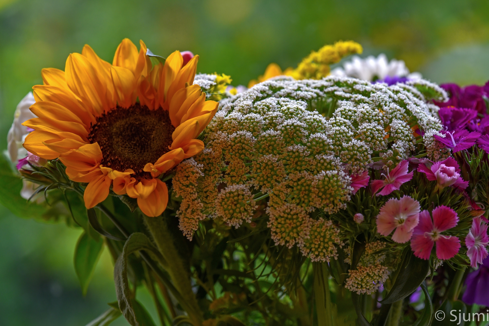 Bunter Herbst Foto & Bild | makro, natur, herbst Bilder auf fotocommunity Bunter Herbst Foto & Bild | makro, natur, herbst Bilder auf fotocommunity