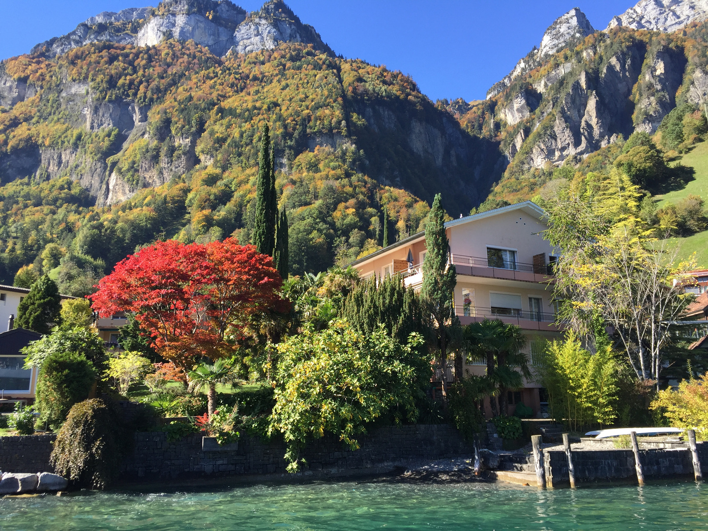 bunter Herbst am Urnersee