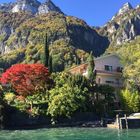 bunter Herbst am Urnersee