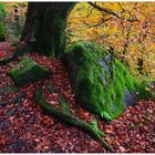 Bunter Herbst am Waldstein