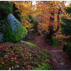 Bunter Herbst am Waldstein