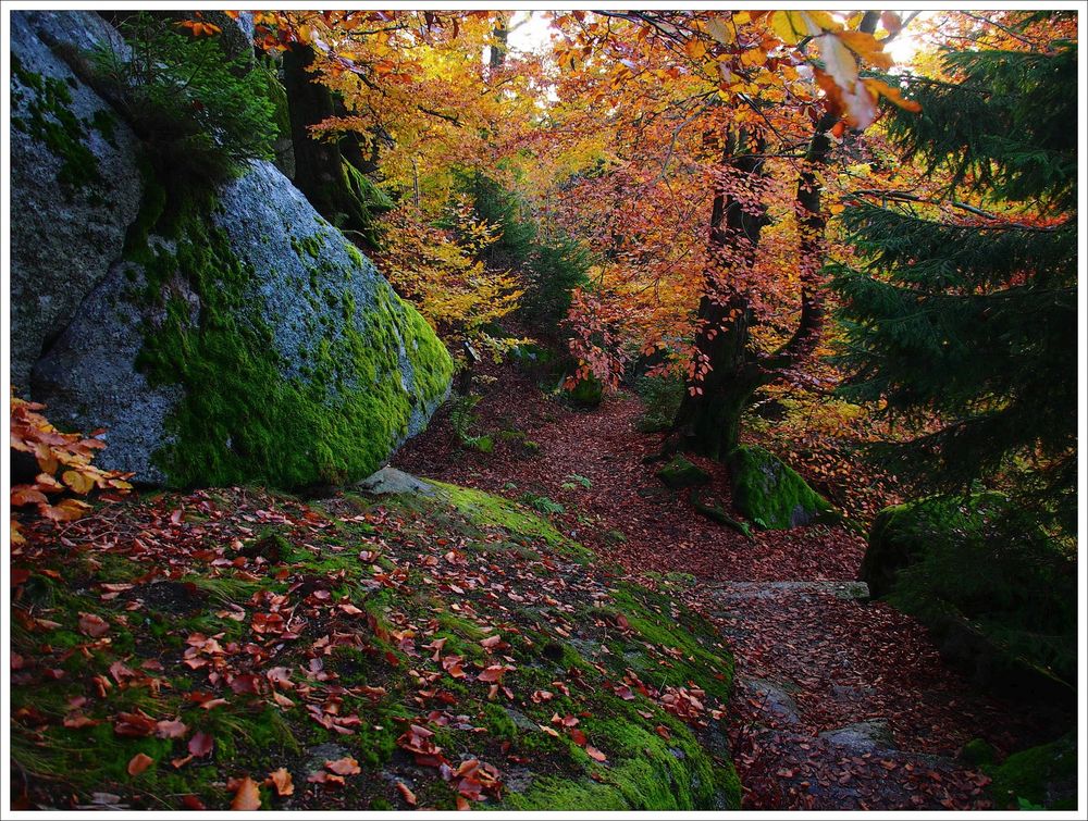 Bunter Herbst am Waldstein