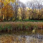 Bunter Herbst am Weiher