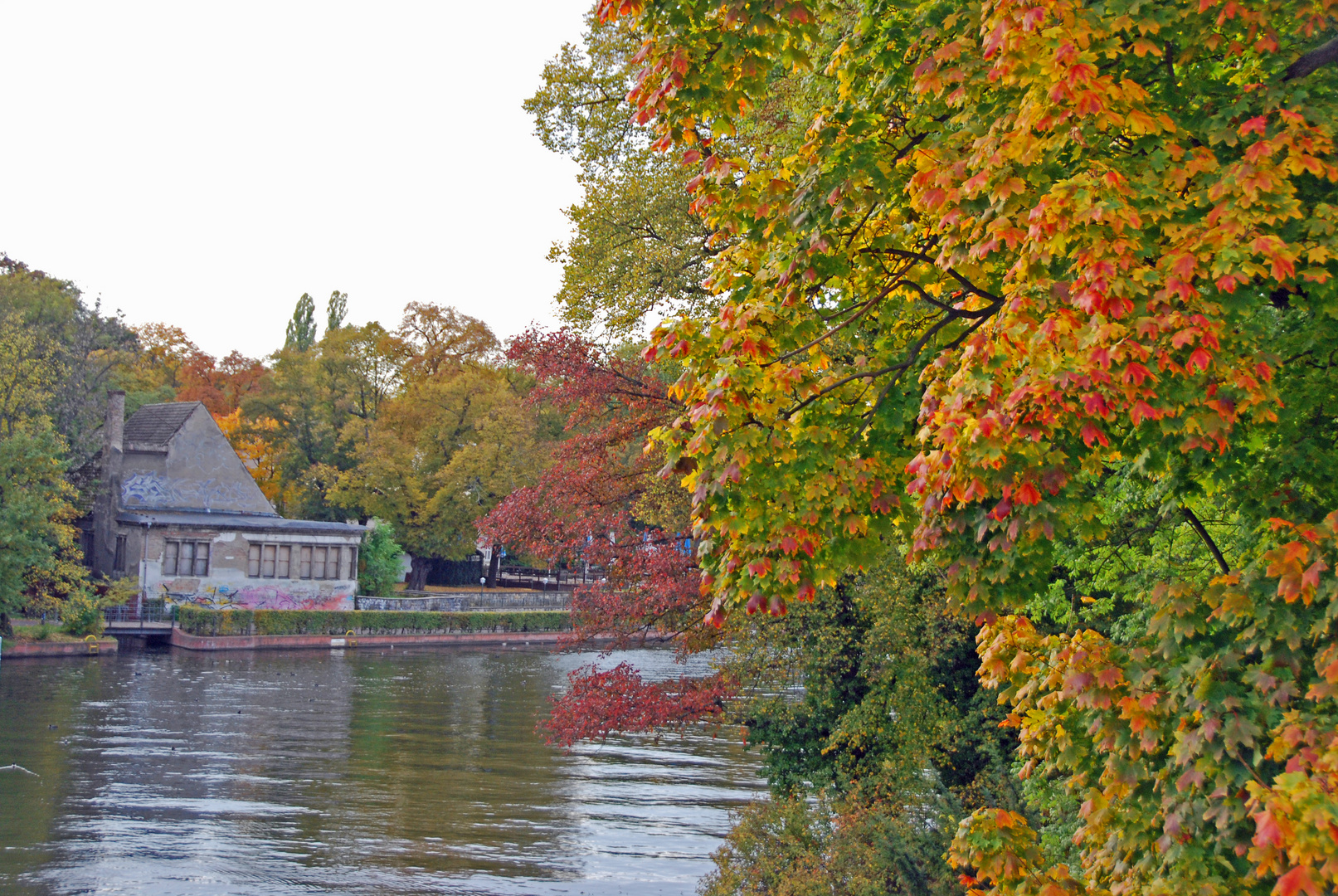 bunter Herbst an der Spree