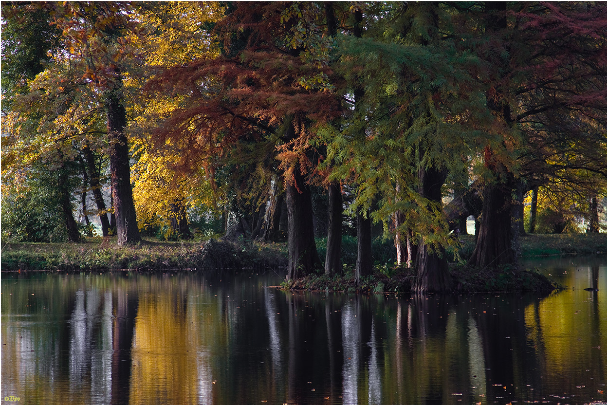 bunter Herbst