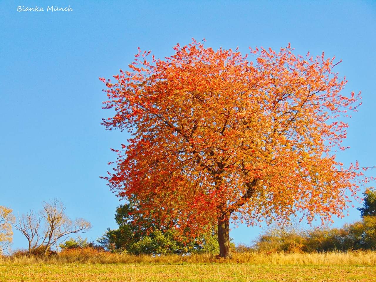 Bunter Herbst