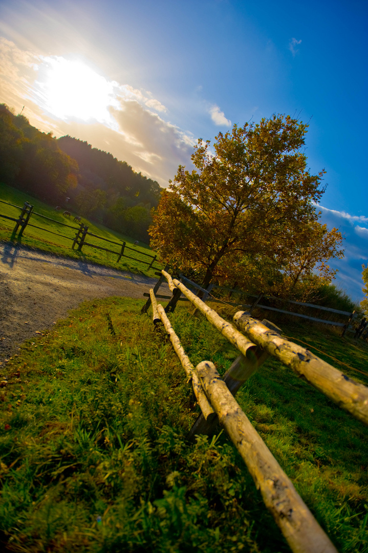 Bunter Herbst