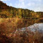 "Bunter Herbst bei Dechsendorf"