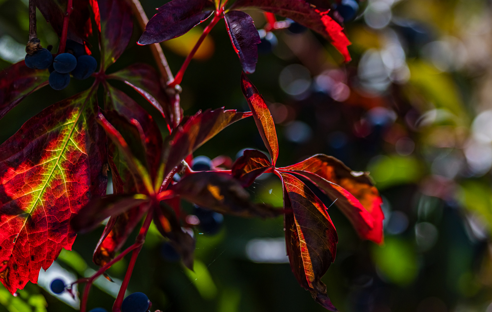 bunter Herbst