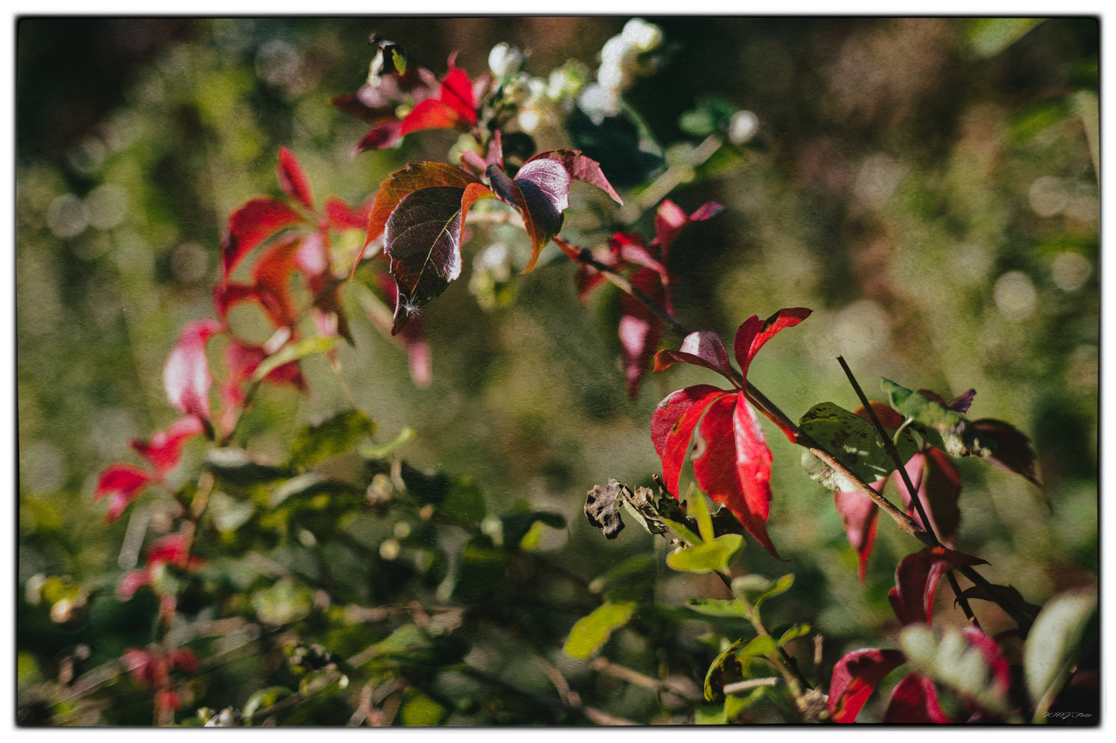 Bunter Herbst