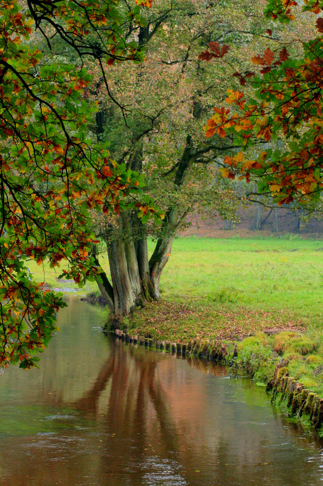 Bunter Herbst