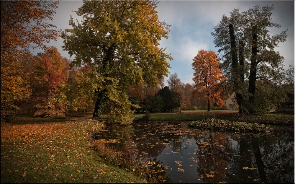 bunter Herbst