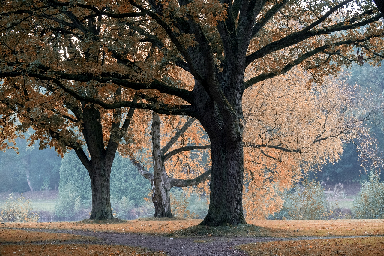 bunter Herbst