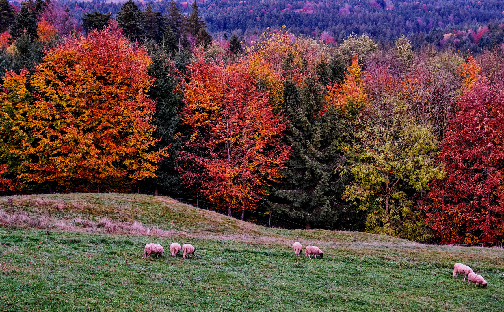 Bunter Herbst