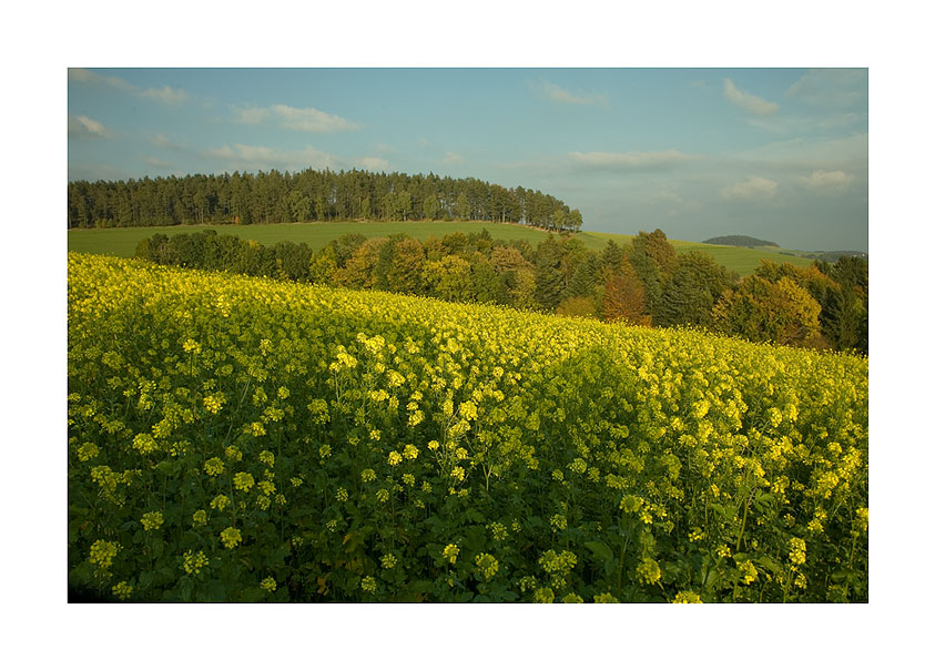 Bunter Herbst