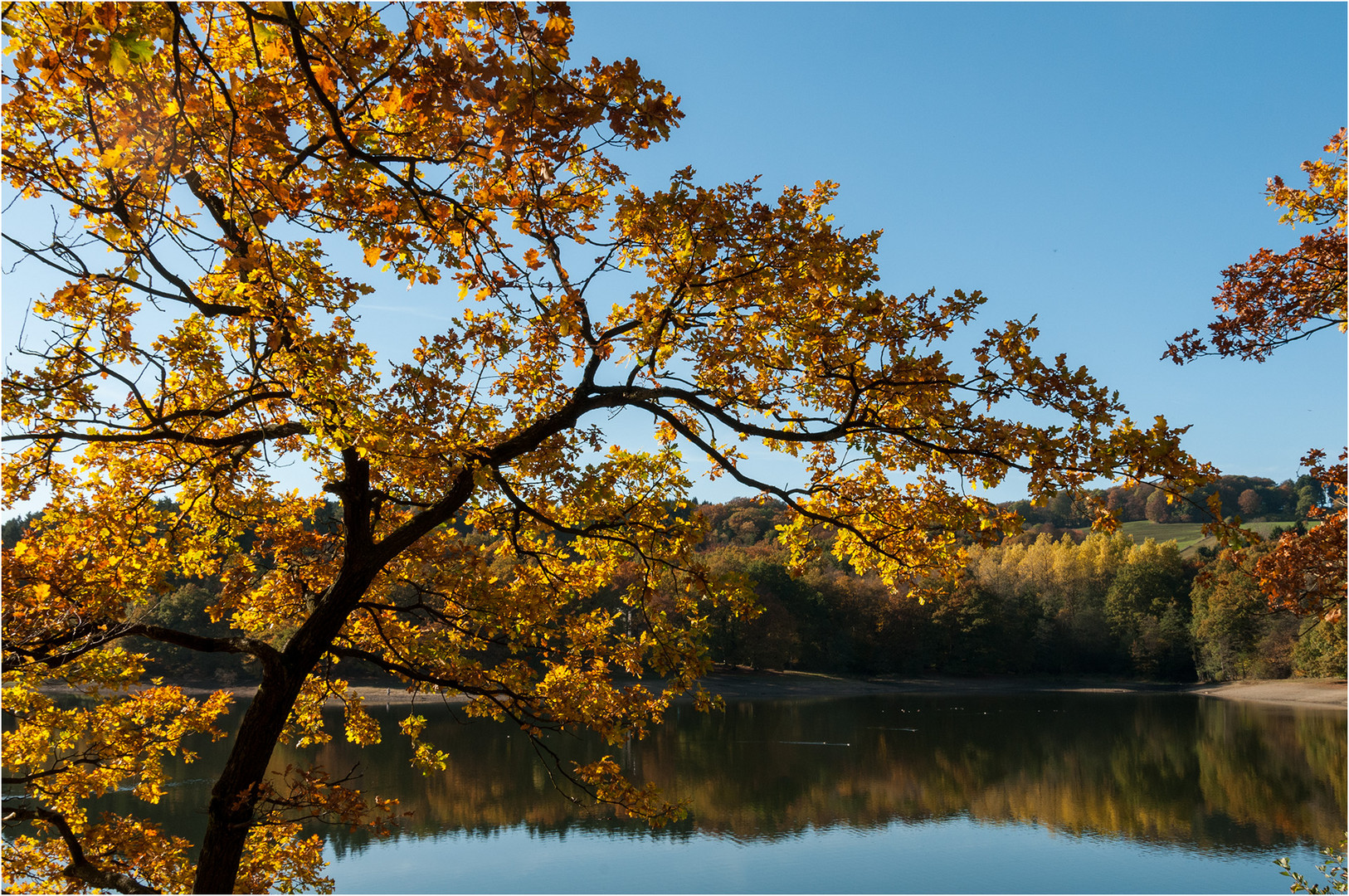 Bunter Herbst ...