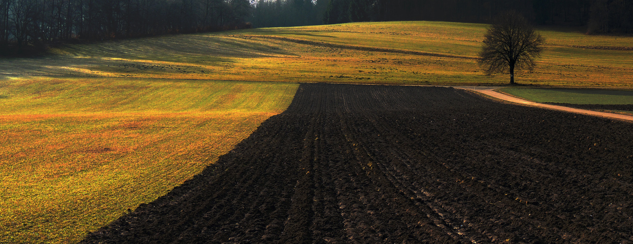 bunter Herbst 