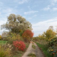 bunter Herbst 