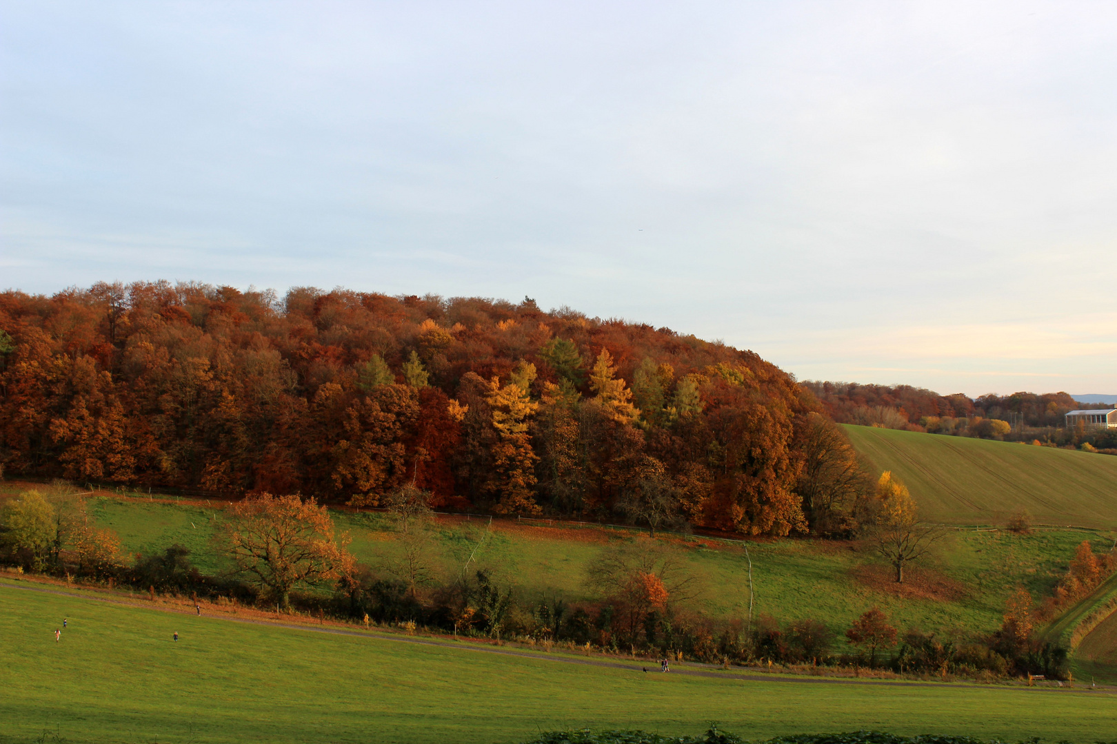 bunter Herbst