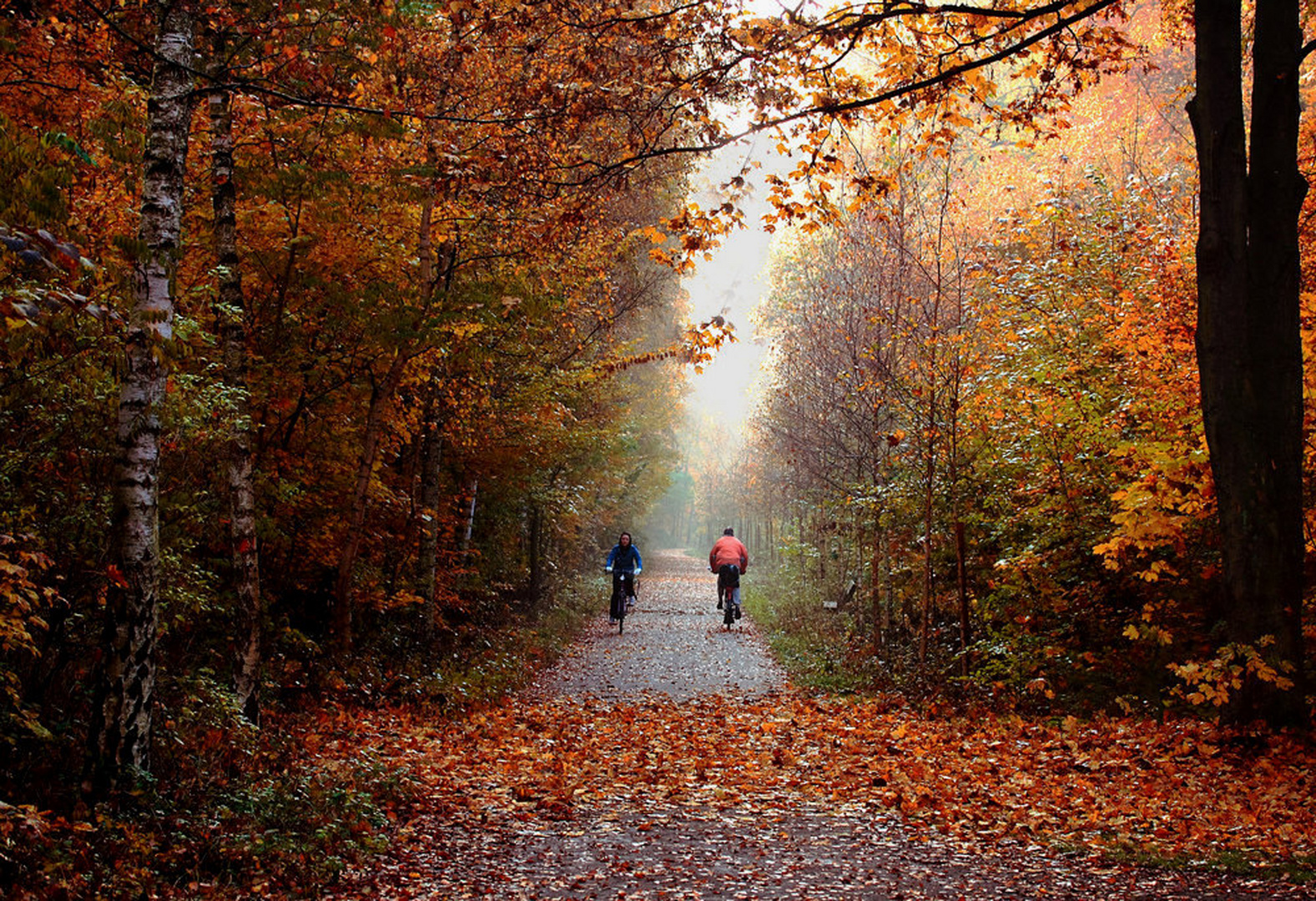 Bunter-Herbst