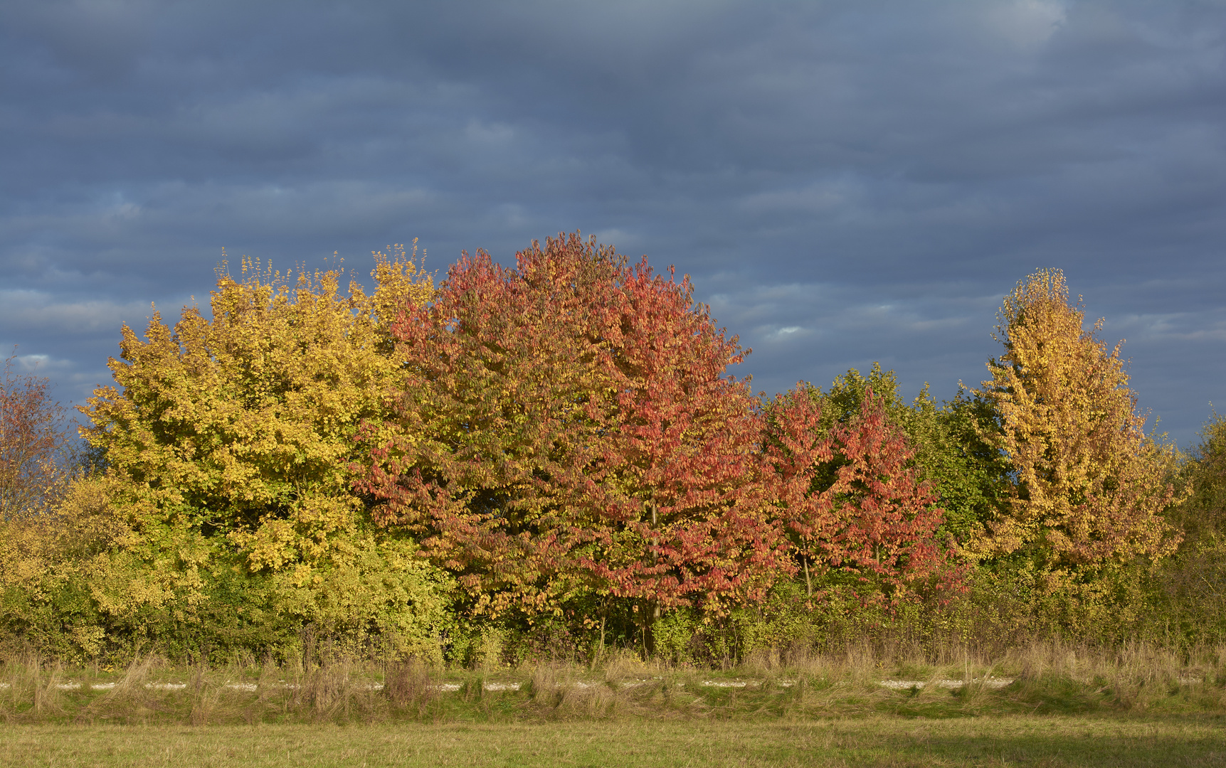 Bunter Herbst