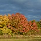 Bunter Herbst