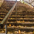 Bunter Herbst in Payerbach.