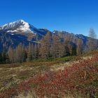 bunter Herbst - Krummelkeeskopf