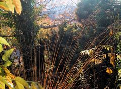 Bunter Herbst vor der Haustür